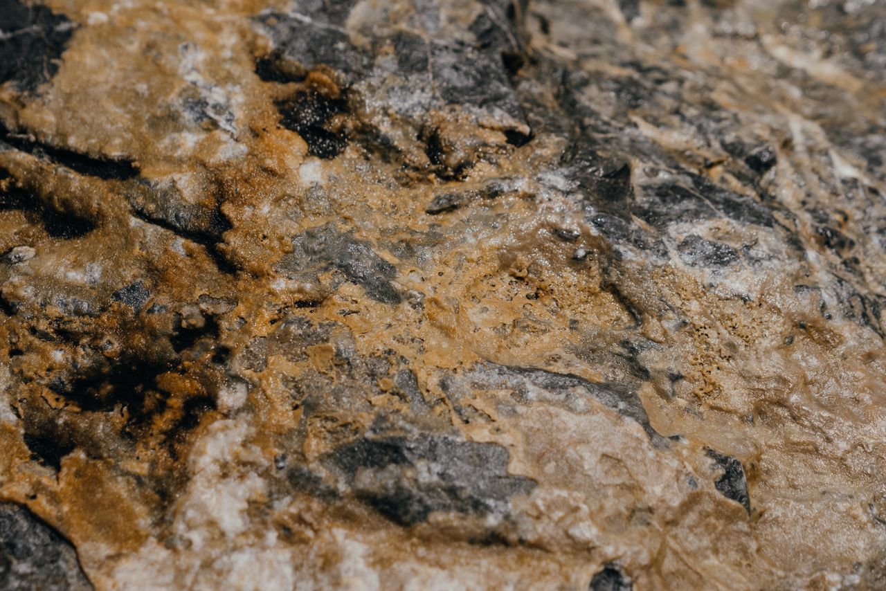 Close-up view of a textured stone surface with earthy tones, showcasing intricate natural patterns.